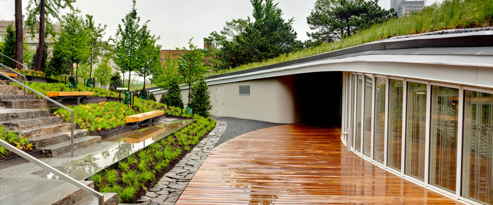 LiRo-Hill provided pre-construction, construction, and post-construction management services for the Brooklyn Botanic Garden Visitor Center.