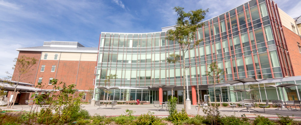 BIM Project - Renovation included the addition of 6 new buildings, with LiRo-Hill managing the construction of the new 178,000 sf Adult Behavioral Health Center, using Building Information Modeling during construction.