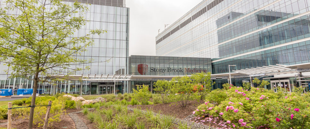 SUNY Stony Brook New Medical and Research Translation (MART) Building and Hospital Pavilion