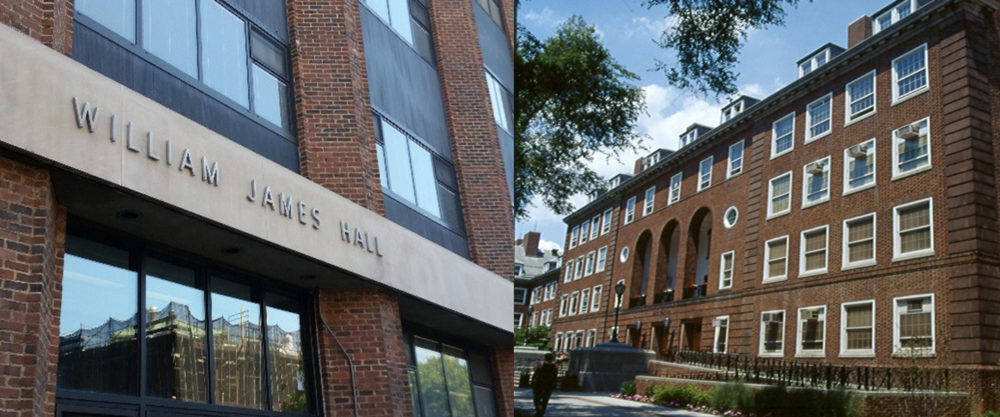 Since 2009, LiRo-Hill has provided comprehensive environmental construction services to DASNY for properties state-owned or managed throughout New York State - DASNY State-Wide Environmental Consulting Services.