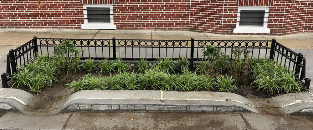 LiRo-Hill is providing construction management services for the construction of a variety of green infrastructure projects in the Jamaica Bay tributary area.