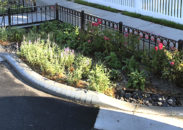 LiRo-Hill is providing construction management services for the construction of a variety of green infrastructure projects in the Jamaica Bay tributary area.