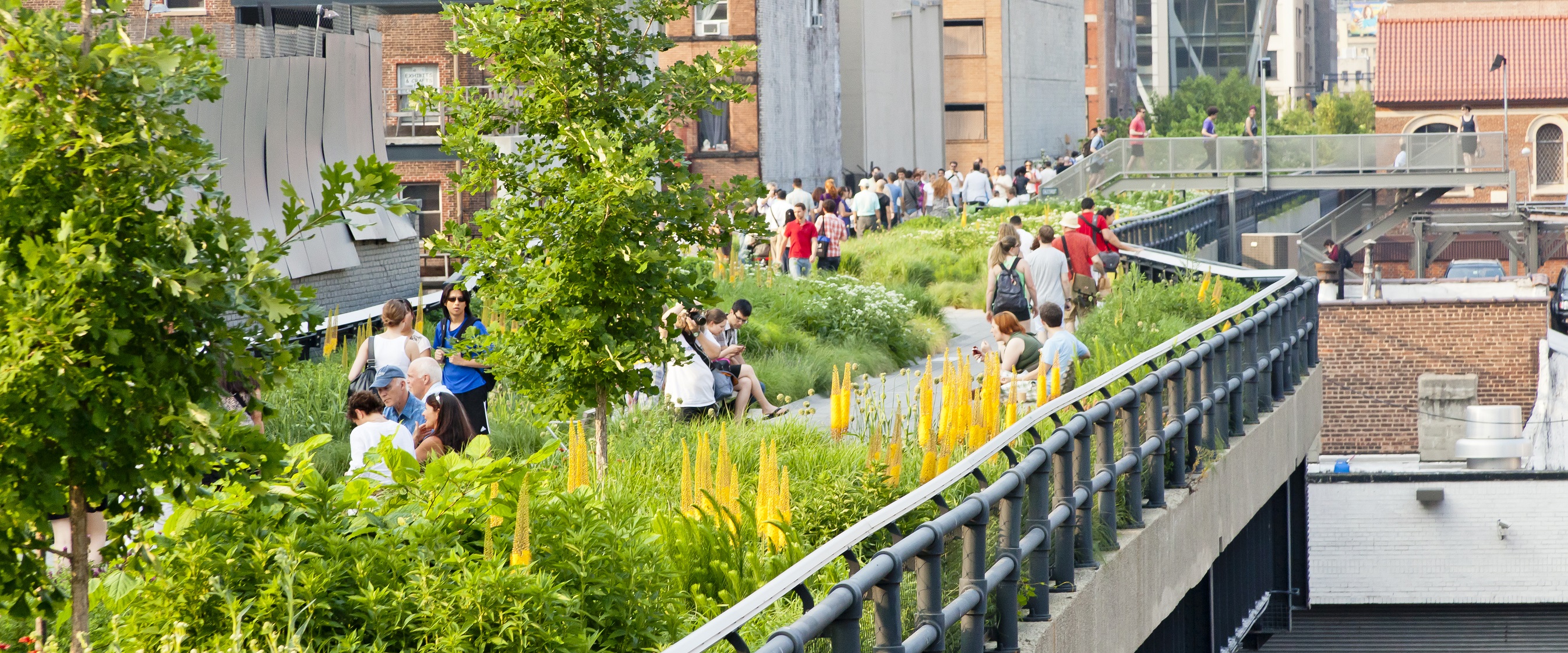 The High Line : NYC Parks